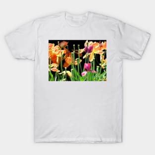 Tulips T-Shirt